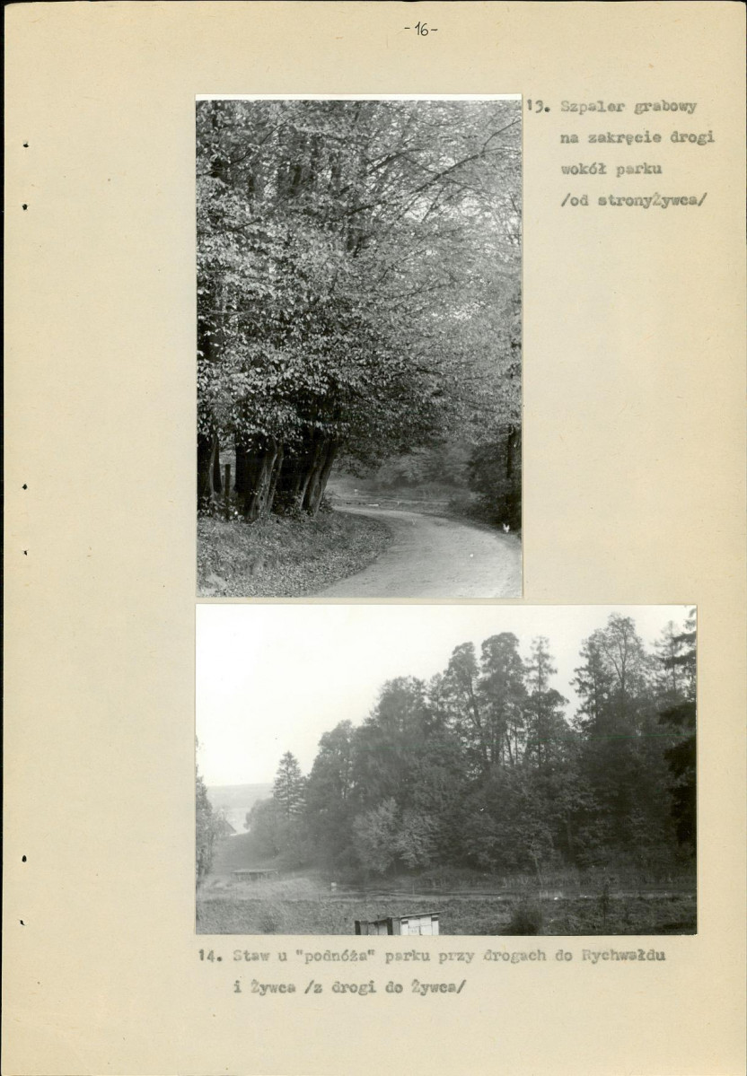 Ewidencja parkowa, skan nr 18