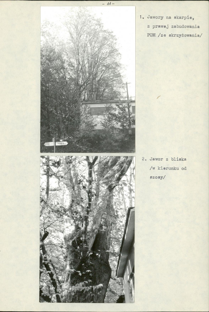 Ewidencja parkowa, skan nr 14