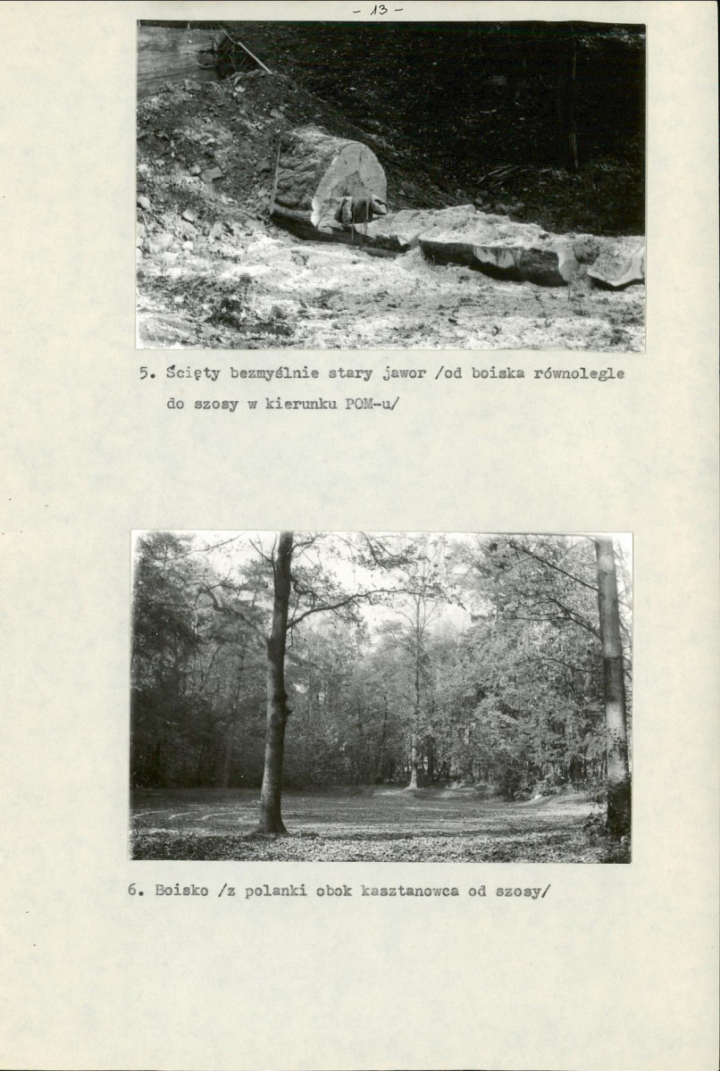 Ewidencja parkowa, skan nr 16