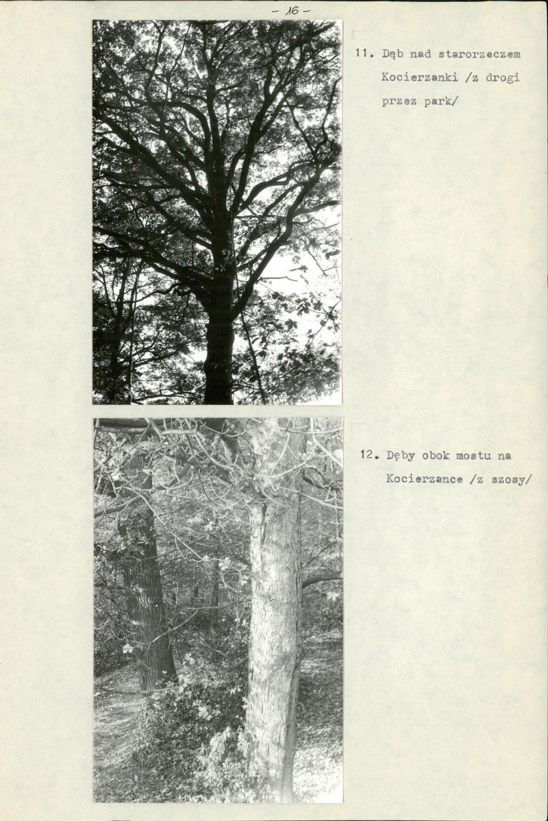 Ewidencja parkowa, skan nr 19