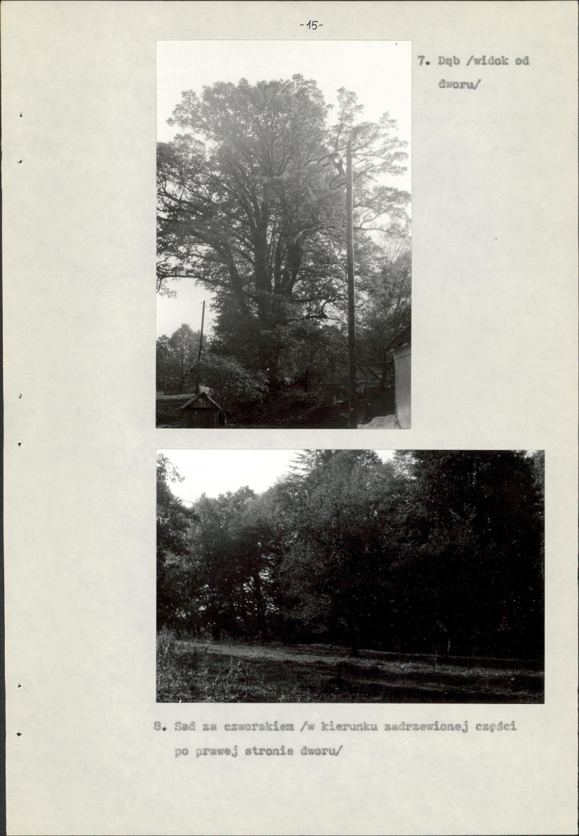 Ewidencja parkowa, skan nr 18