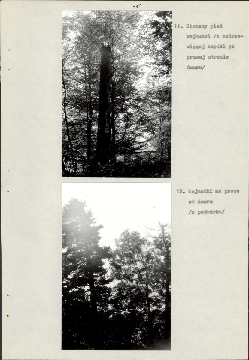 Ewidencja parkowa, skan nr 20