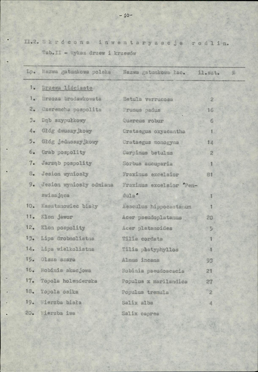 Ewidencja parkowa, skan nr 13