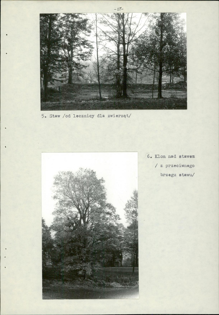 Ewidencja parkowa, skan nr 20