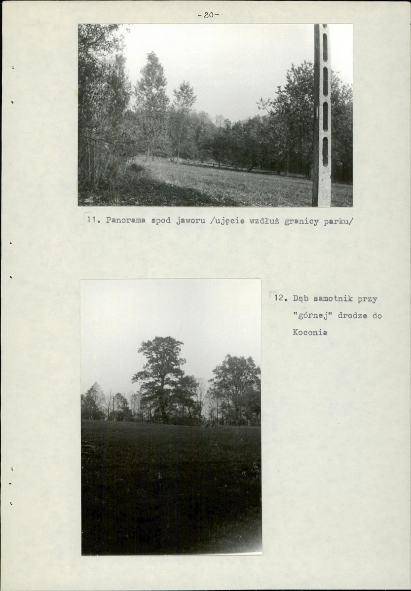 Ewidencja parkowa, skan nr 23