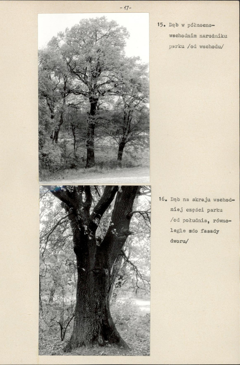 Ewidencja parkowa, skan nr 20