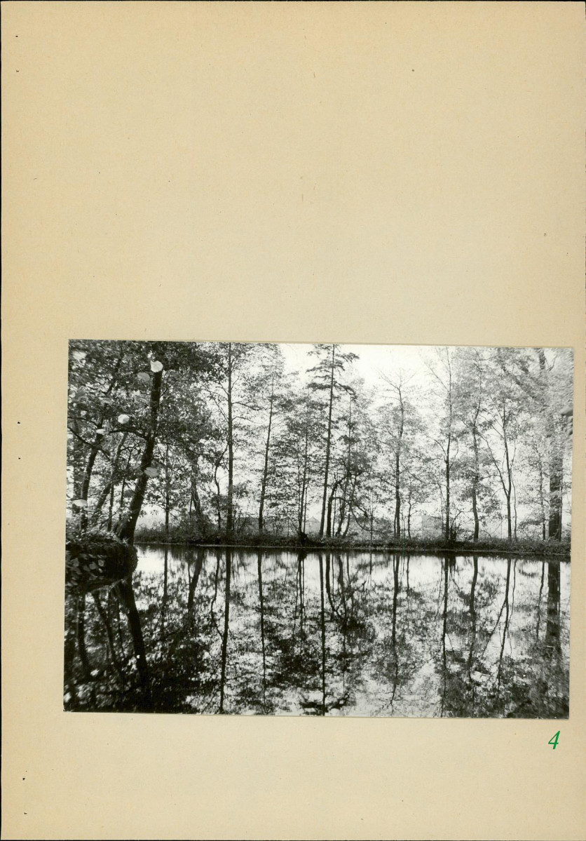 Ewidencja parkowa, skan nr 27