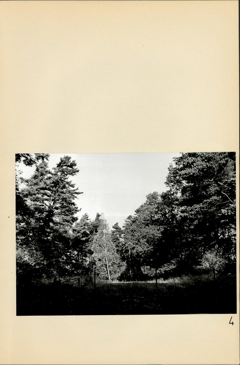 Ewidencja parkowa, skan nr 27