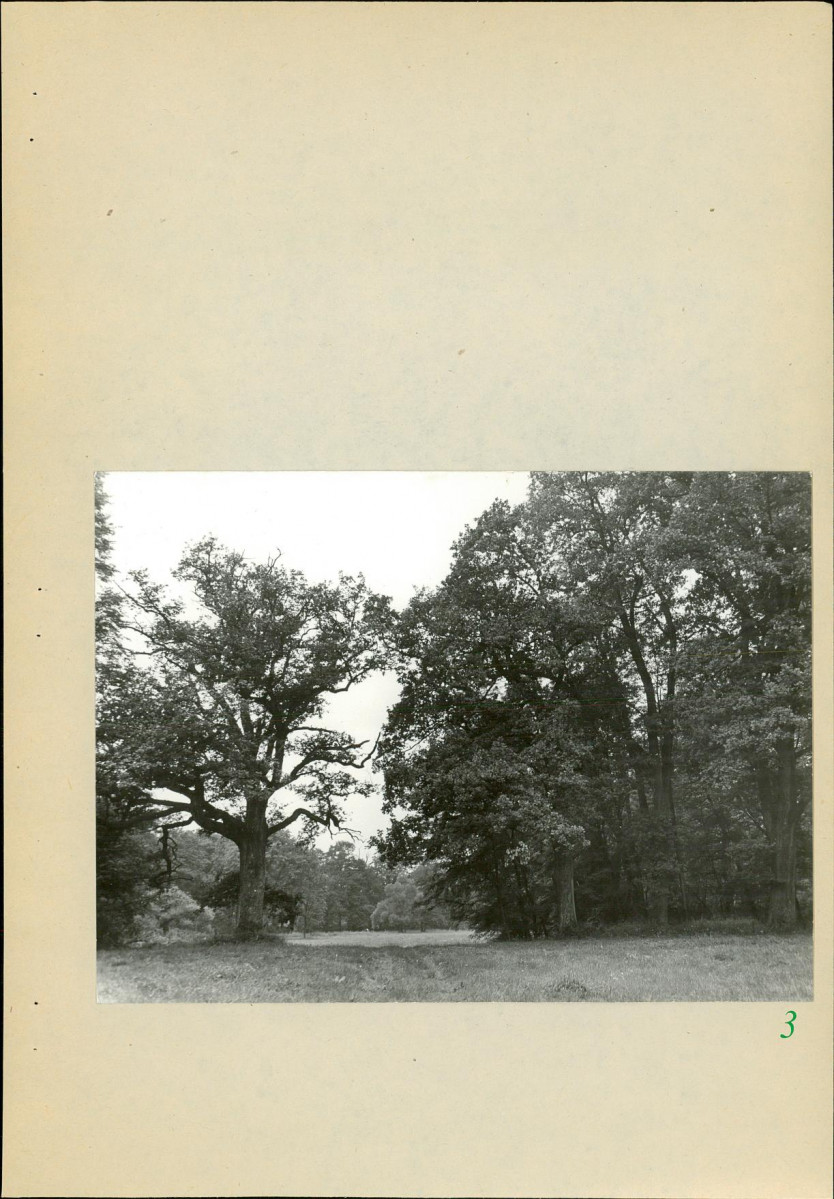 Ewidencja parkowa, skan nr 35