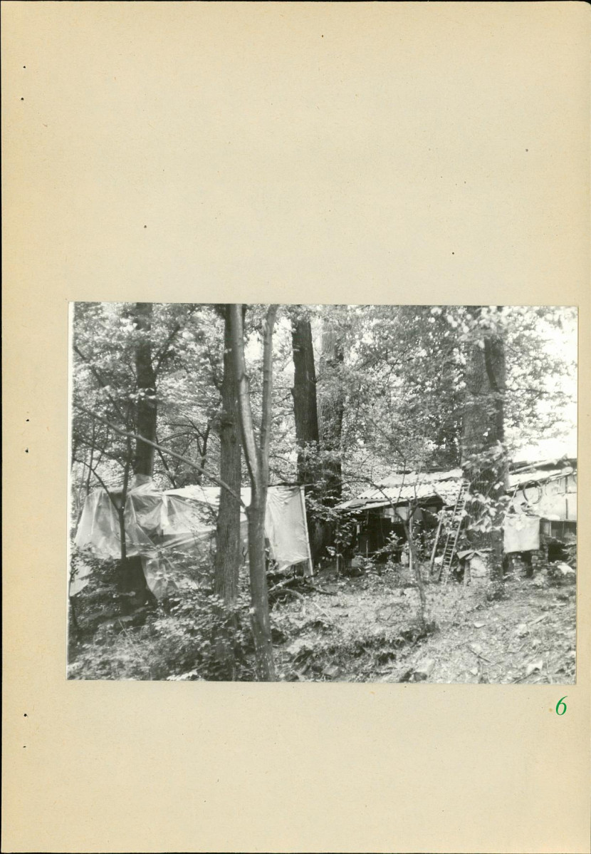 Ewidencja parkowa, skan nr 38