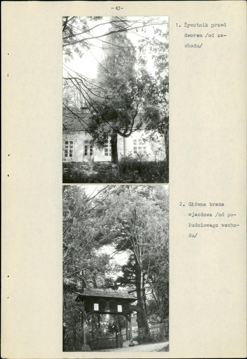 Ewidencja parkowa, skan nr 13