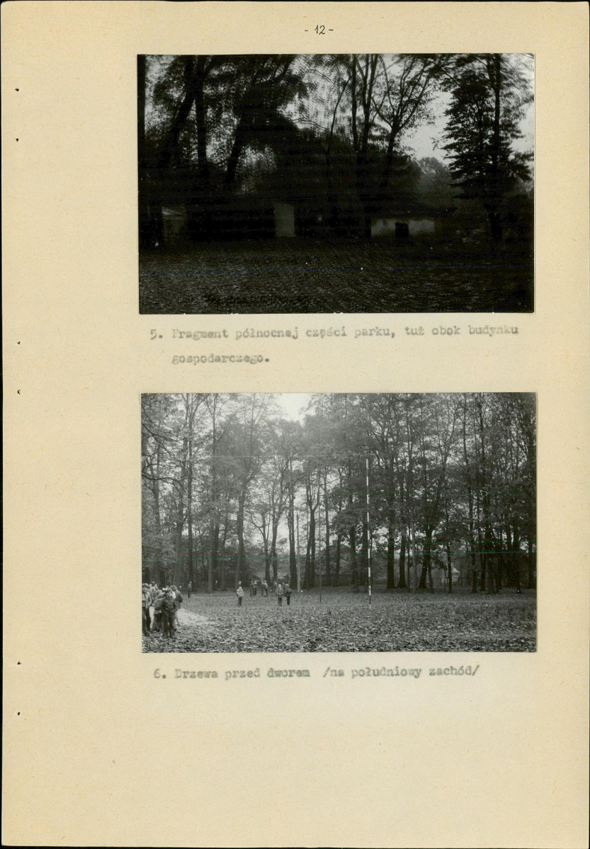 Ewidencja parkowa, skan nr 13