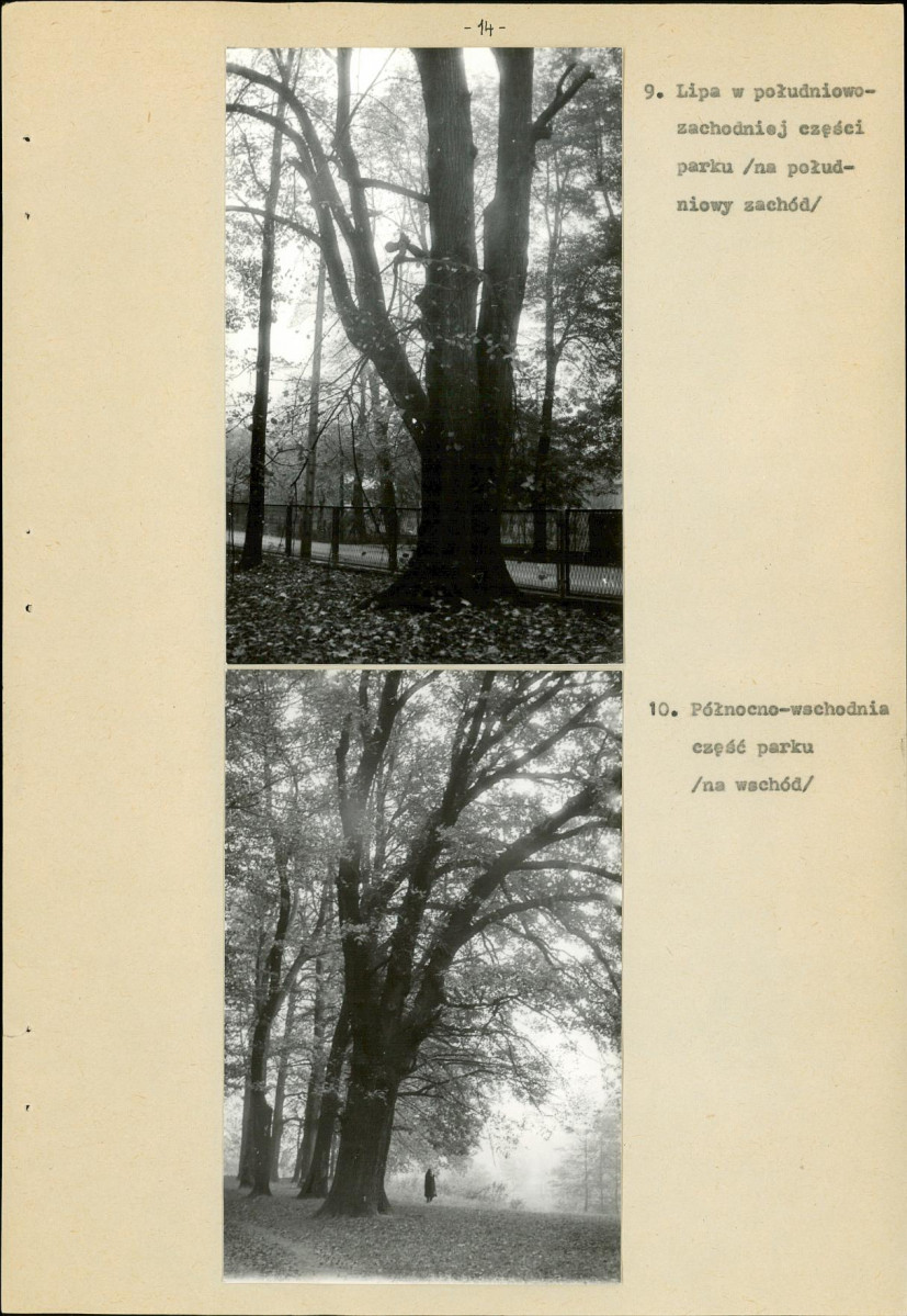 Ewidencja parkowa, skan nr 17