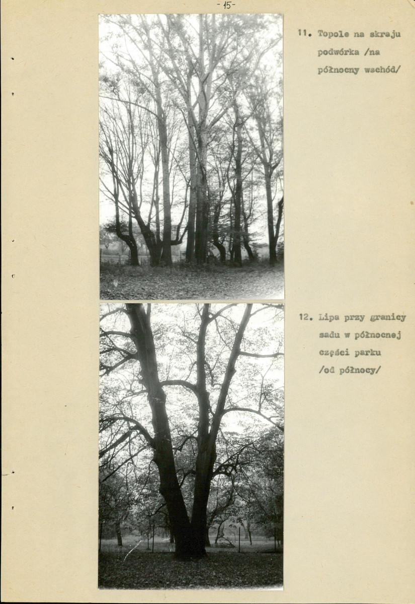 Ewidencja parkowa, skan nr 18