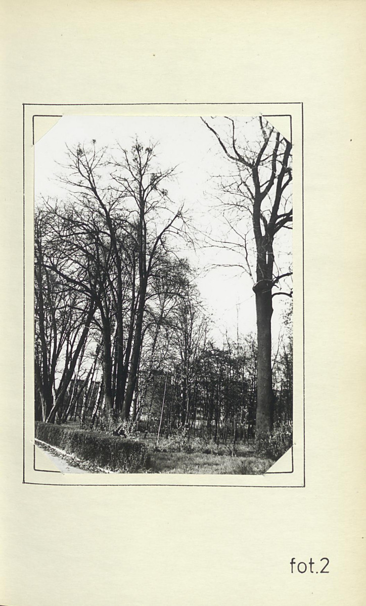 Ewidencja parkowa, skan nr 18