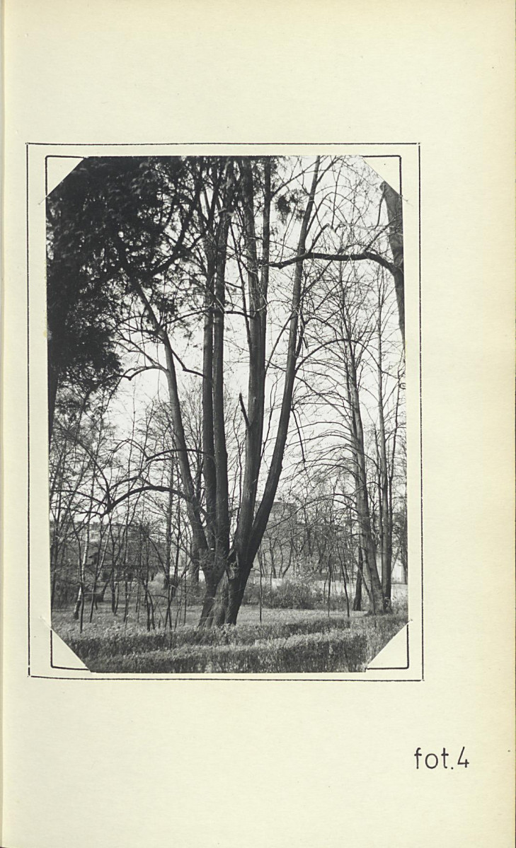 Ewidencja parkowa, skan nr 20