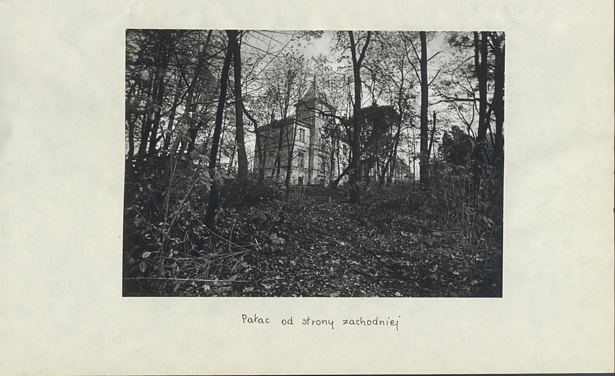 Ewidencja parkowa, skan nr 33