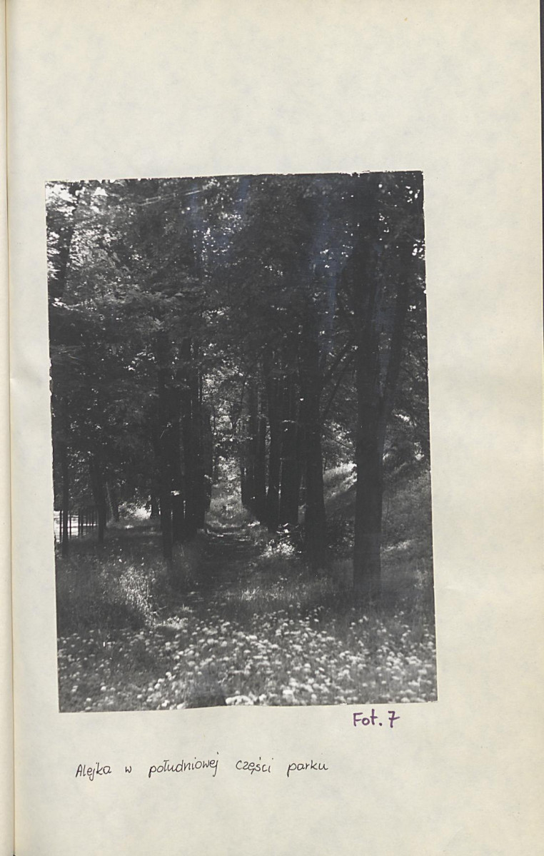 Ewidencja parkowa, skan nr 36