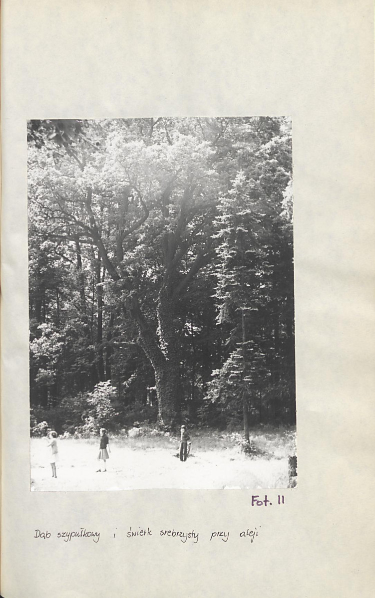 Ewidencja parkowa, skan nr 40