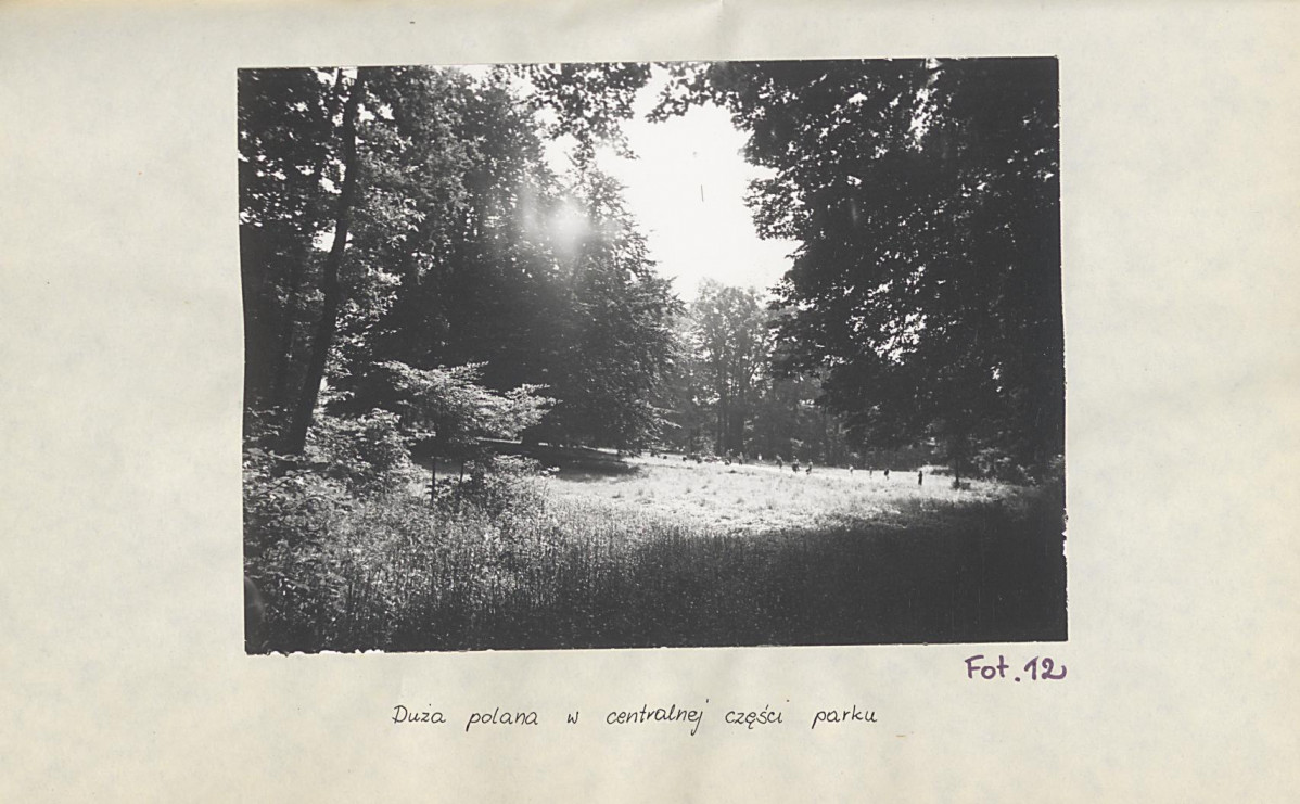 Ewidencja parkowa, skan nr 41