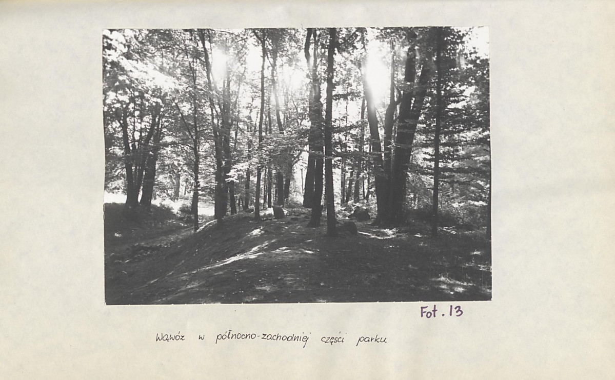 Ewidencja parkowa, skan nr 42