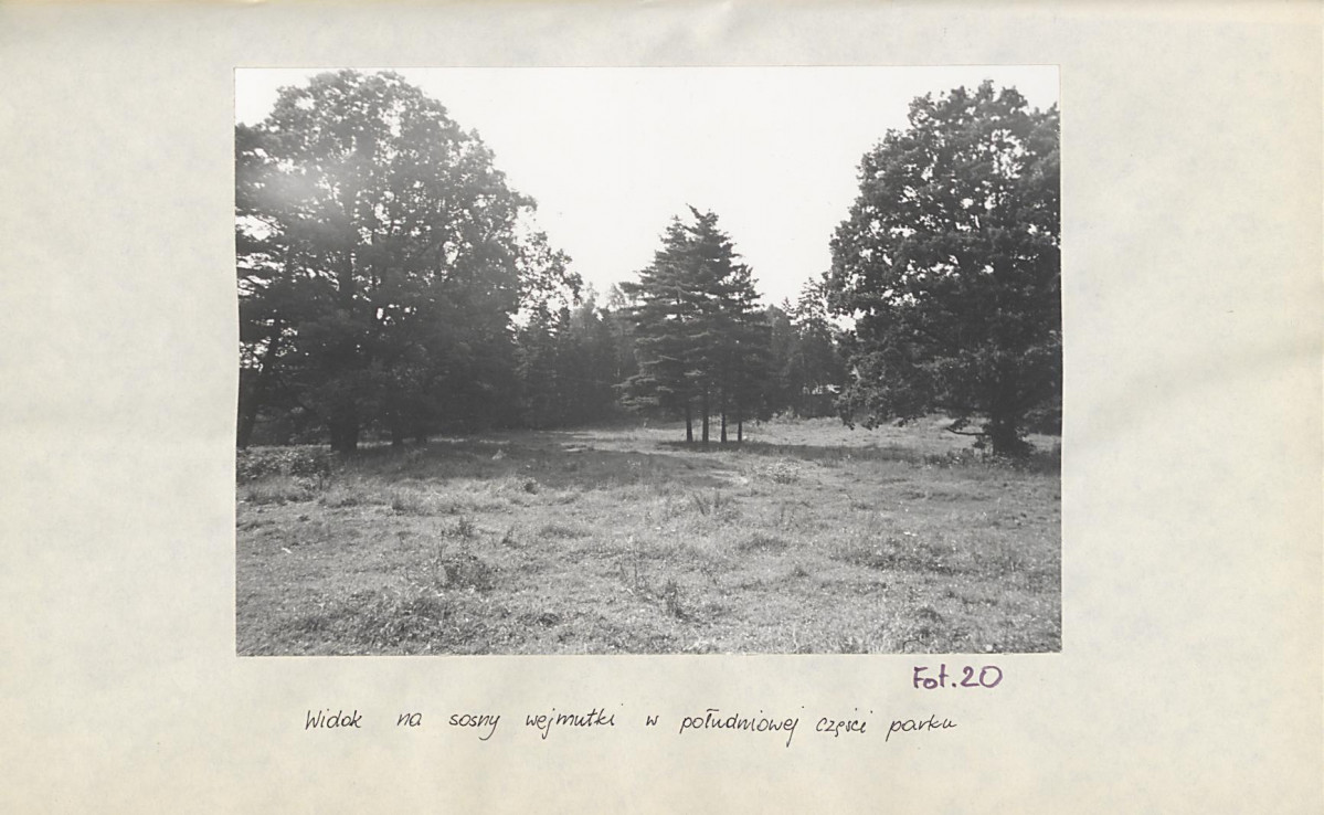 Ewidencja parkowa, skan nr 49