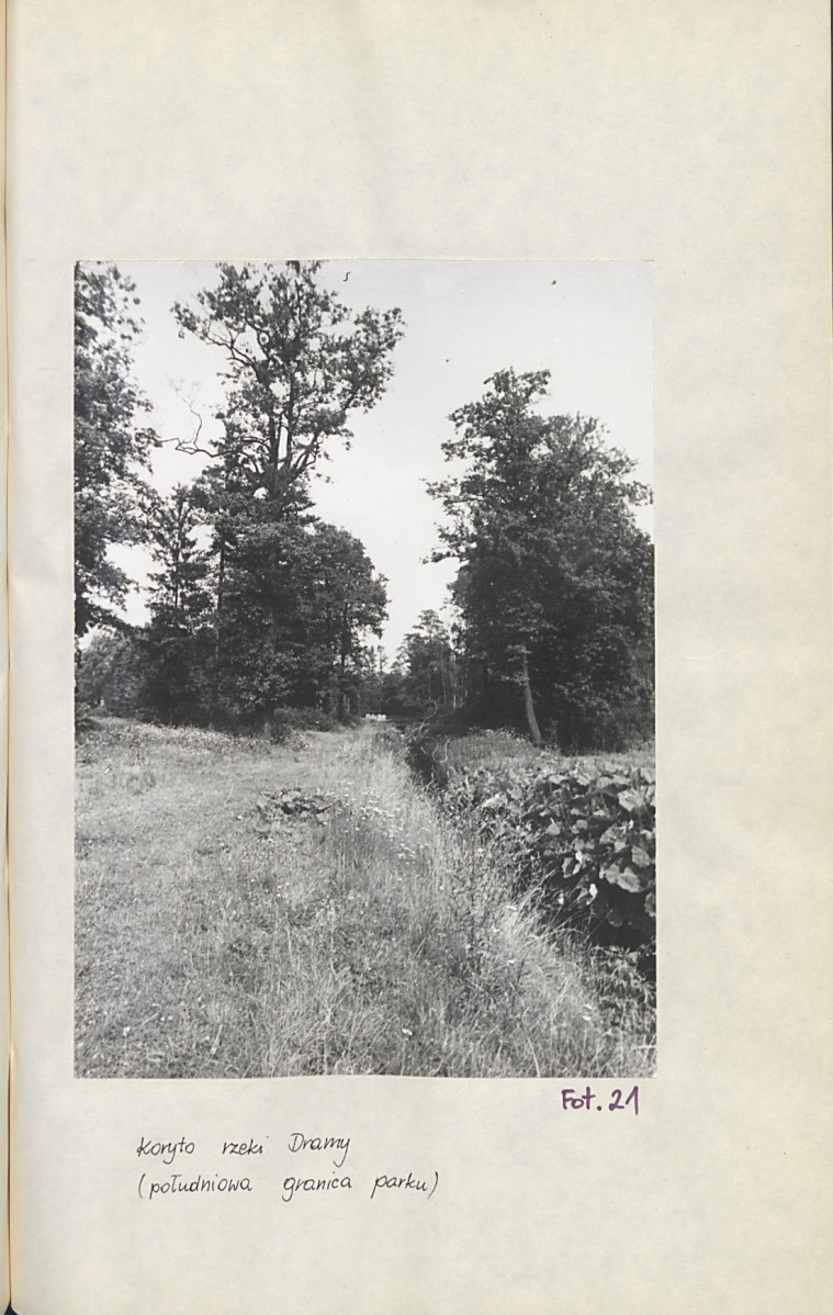 Ewidencja parkowa, skan nr 50