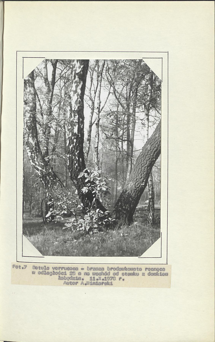 Ewidencja parkowa, skan nr 40