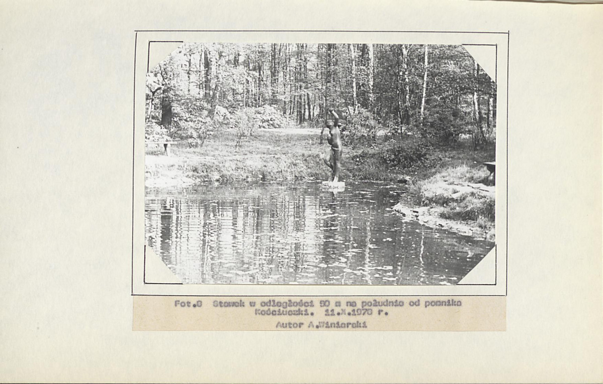 Ewidencja parkowa, skan nr 41