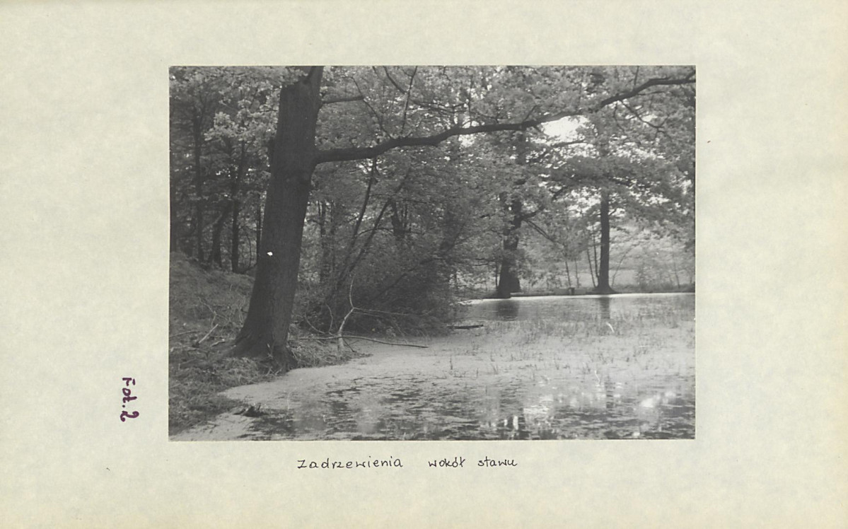 Ewidencja parkowa, skan nr 28