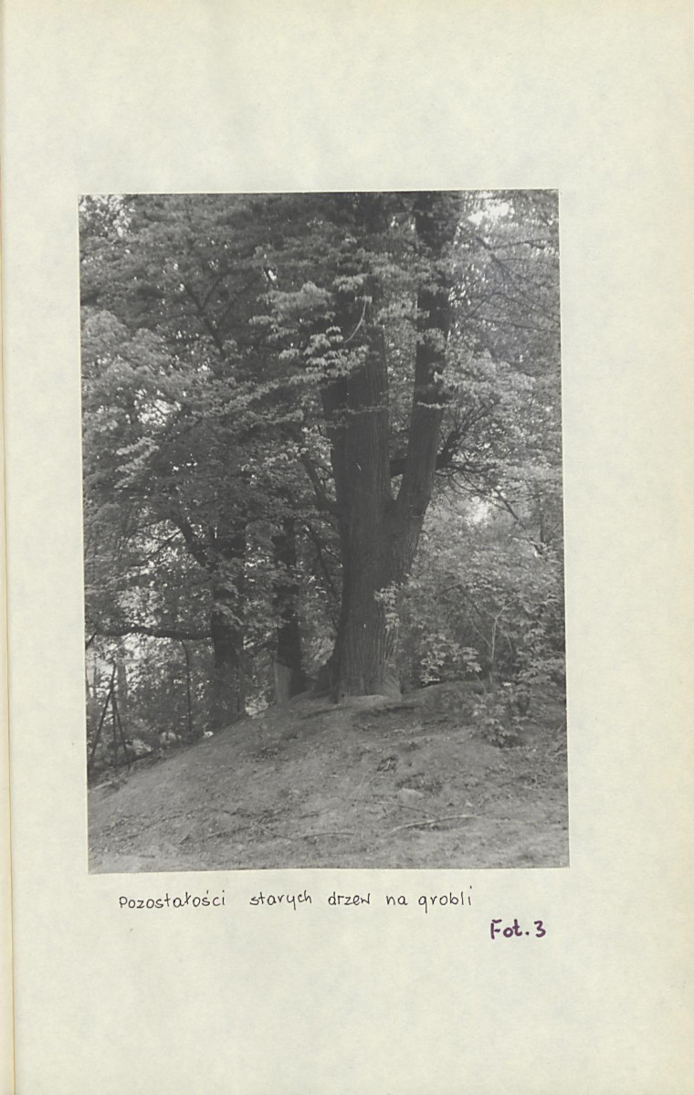 Ewidencja parkowa, skan nr 29