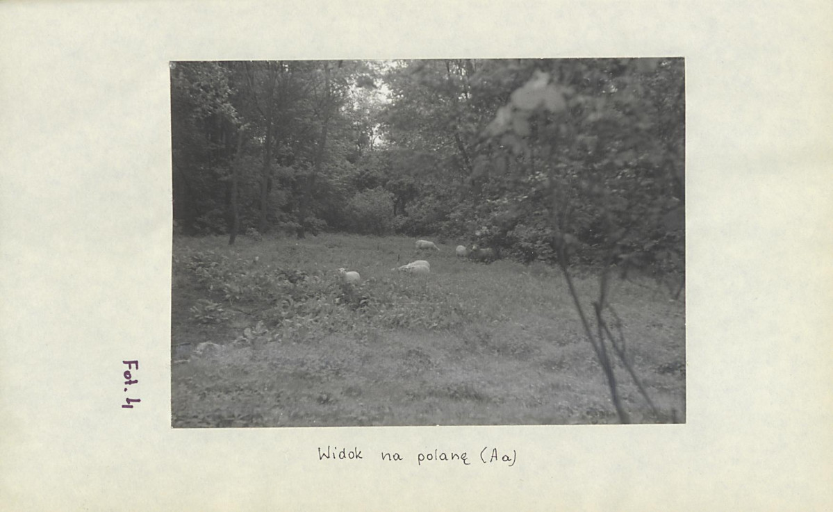 Ewidencja parkowa, skan nr 30