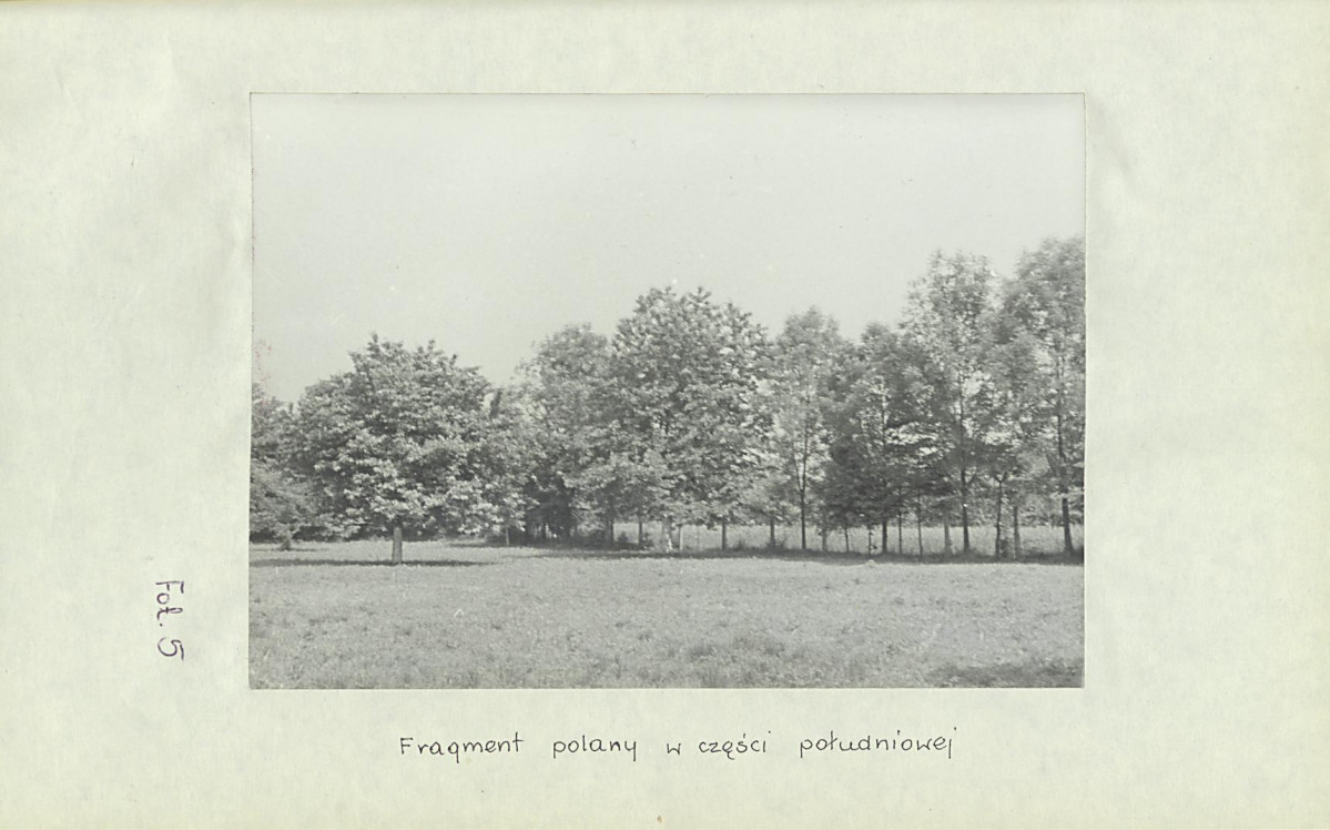 Ewidencja parkowa, skan nr 32