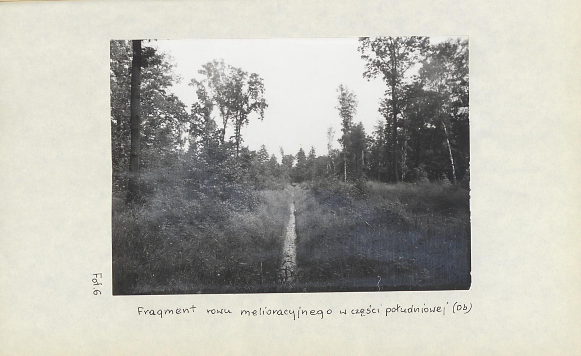 Ewidencja parkowa, skan nr 33