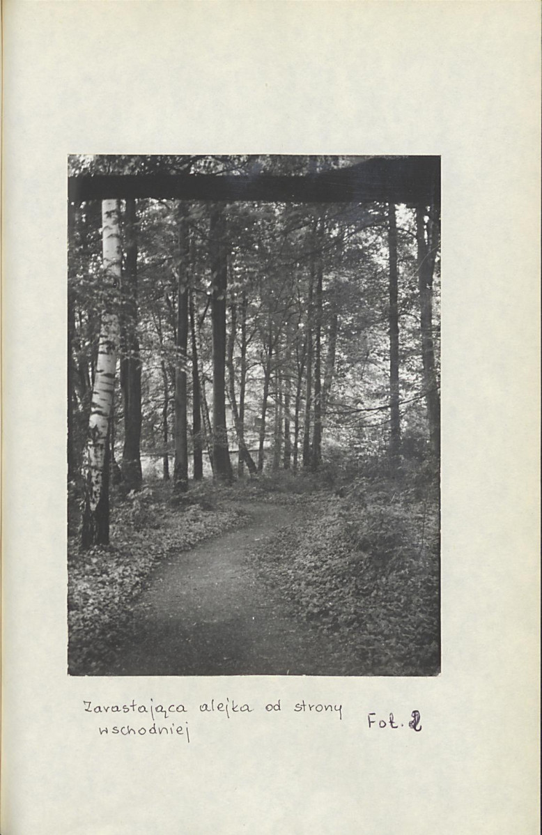 Ewidencja parkowa, skan nr 29