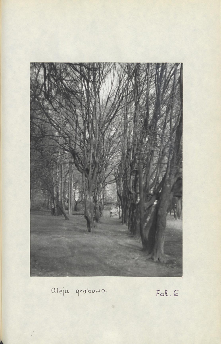Ewidencja parkowa, skan nr 33