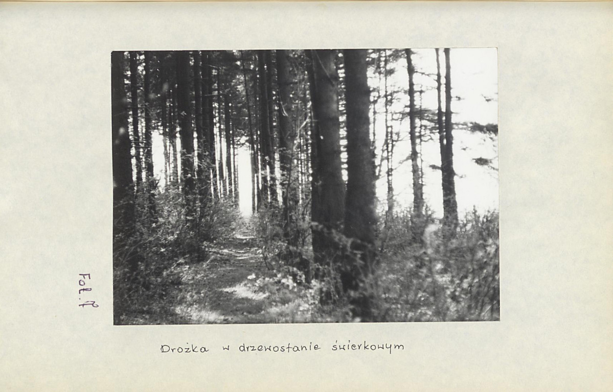 Ewidencja parkowa, skan nr 34