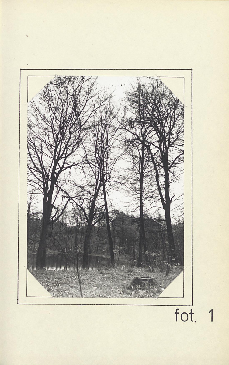 Ewidencja parkowa, skan nr 15