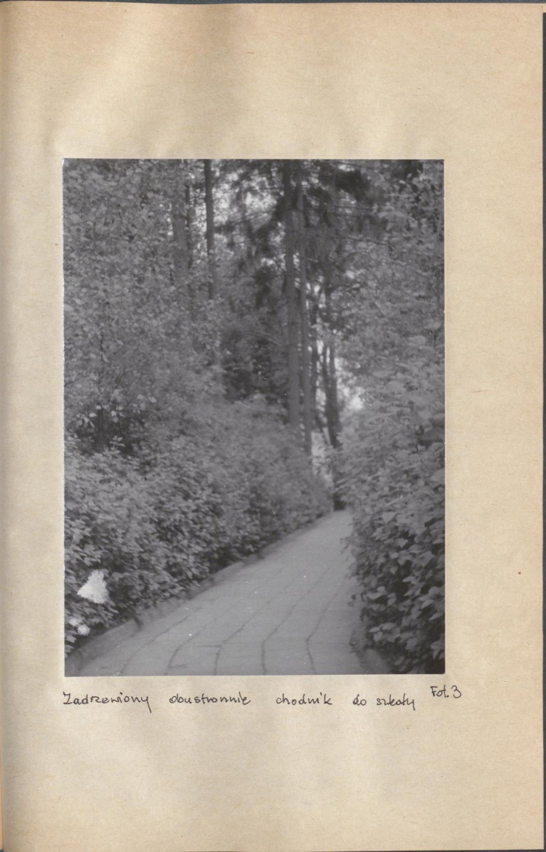 Ewidencja parkowa, skan nr 29
