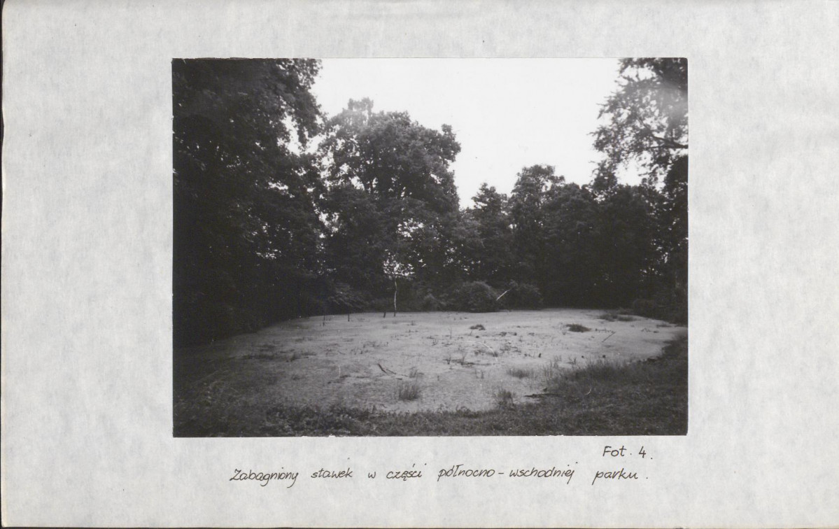 Ewidencja parkowa, skan nr 33