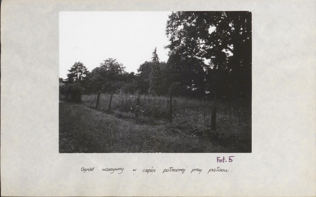 Ewidencja parkowa, skan nr 34