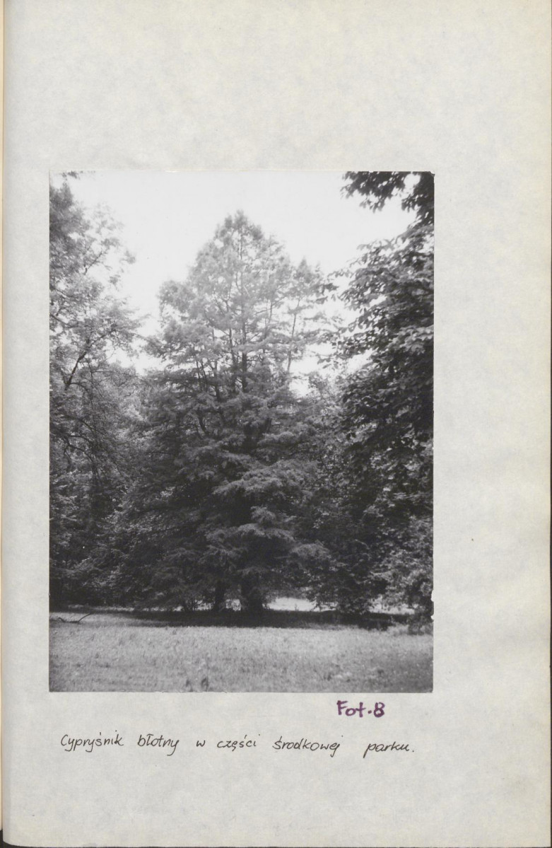 Ewidencja parkowa, skan nr 37