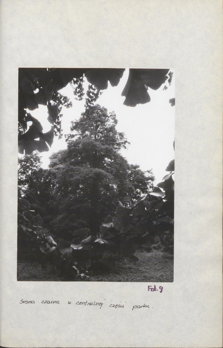 Ewidencja parkowa, skan nr 38