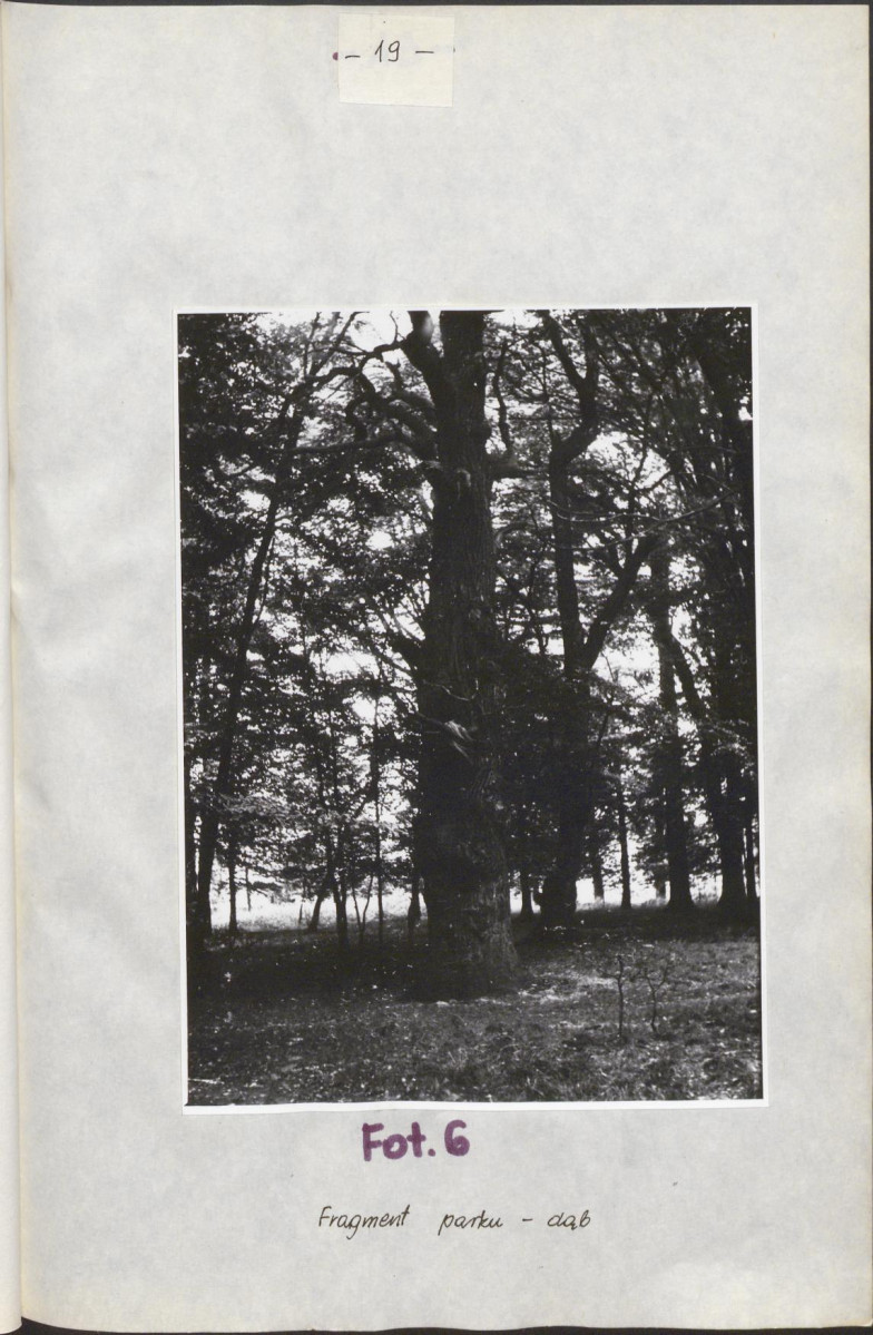 Ewidencja parkowa, skan nr 23