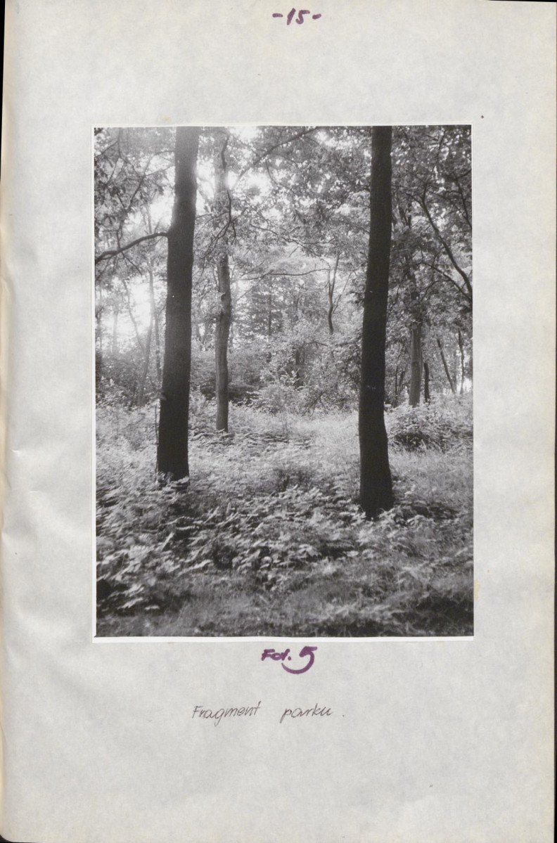 Ewidencja parkowa, skan nr 19