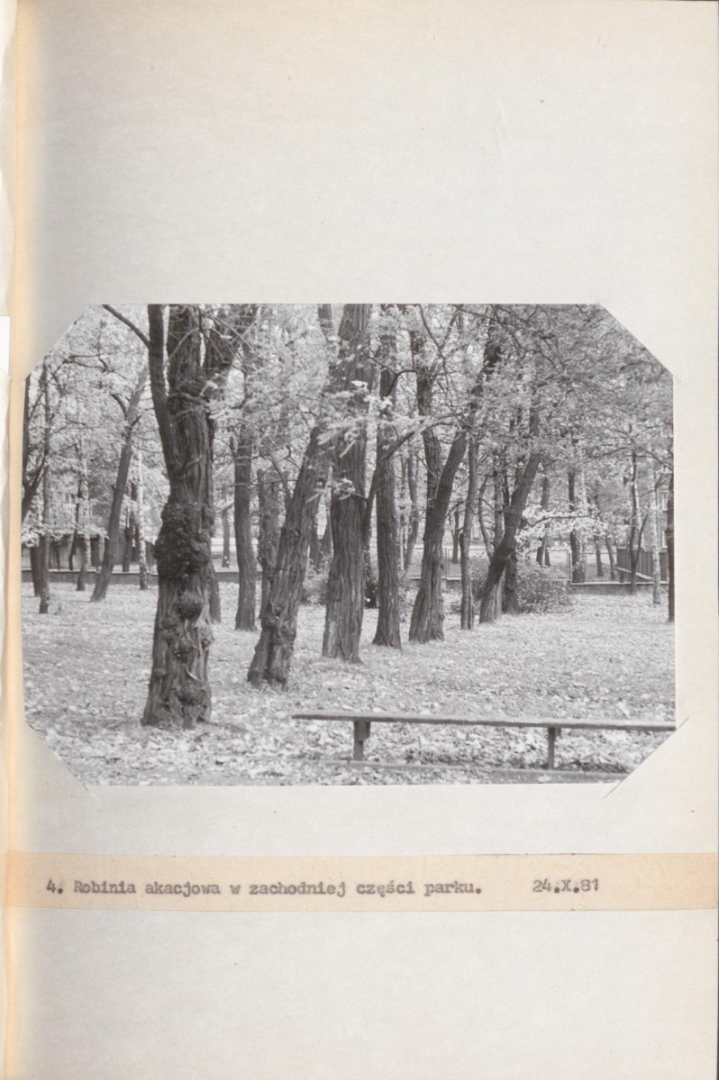 EP - Ewidencja parkowa, skan nr 16