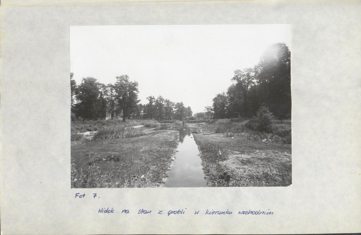 Ewidencja parkowa, skan nr 29