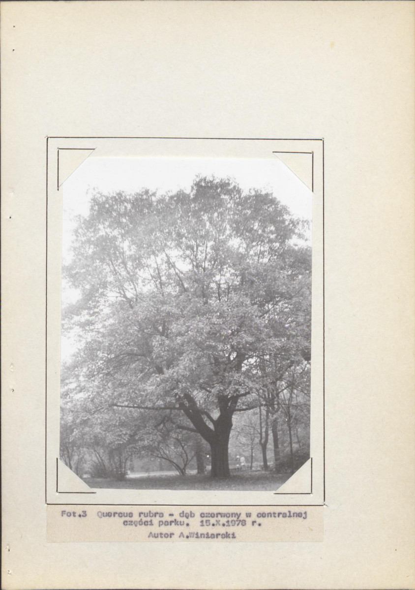 Ewidencja parkowa, skan nr 39