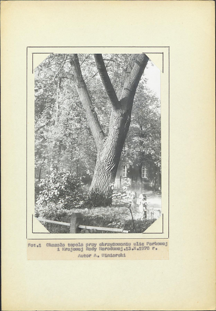 EP - Ewidencja parkowa, skan nr 24