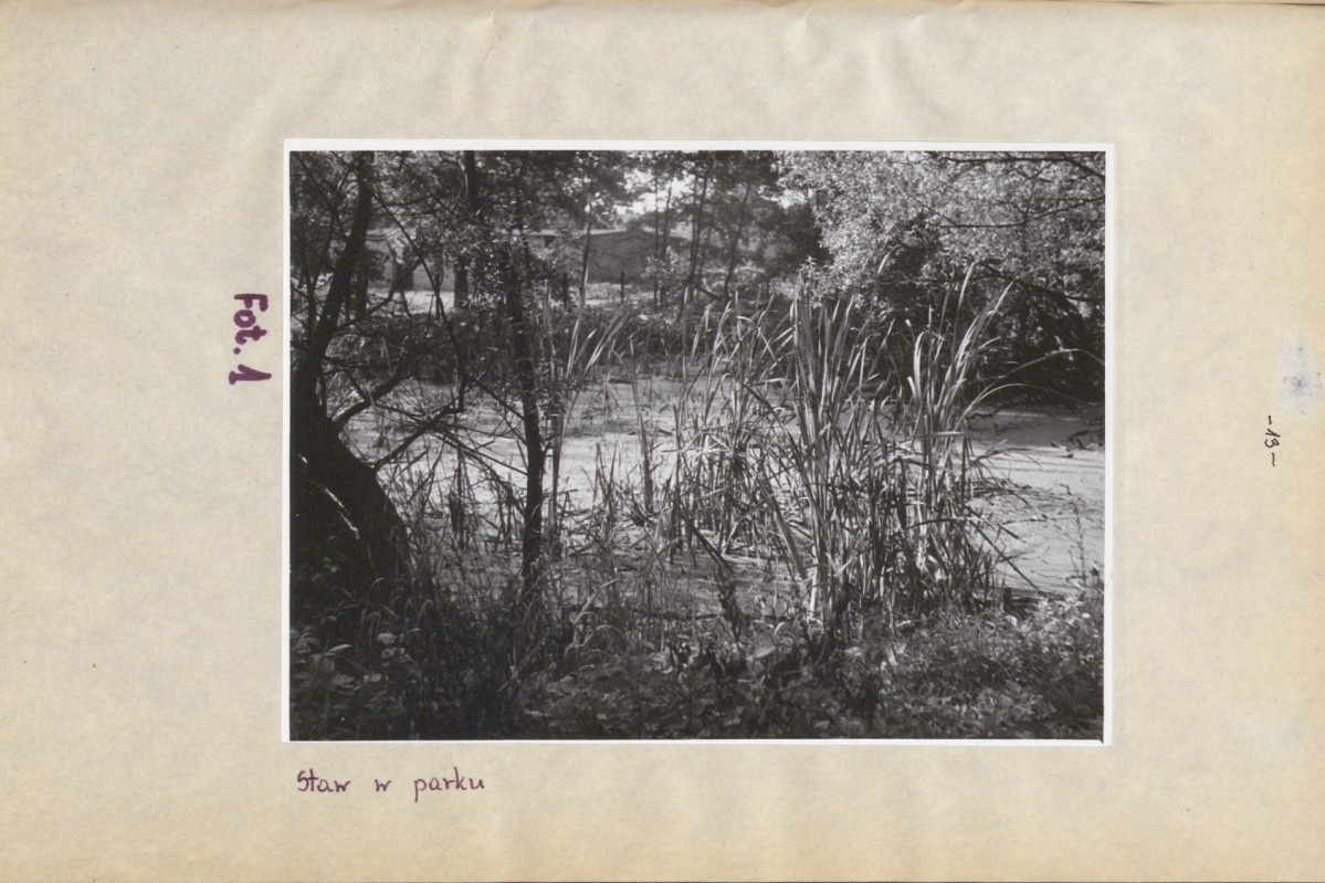 Ewidencja parkowa, skan nr 17